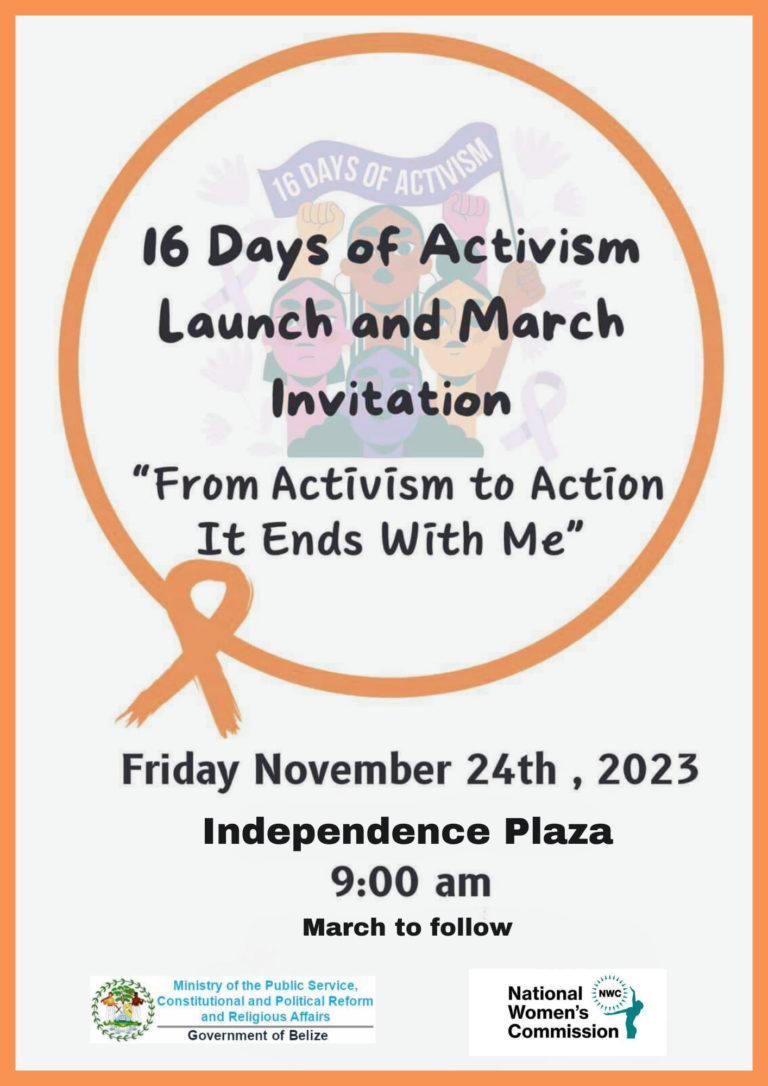 16 days of activism (2023)